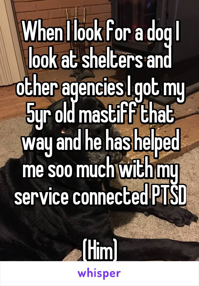 When I look for a dog I look at shelters and other agencies I got my 5yr old mastiff that way and he has helped me soo much with my service connected PTSD 
(Him)