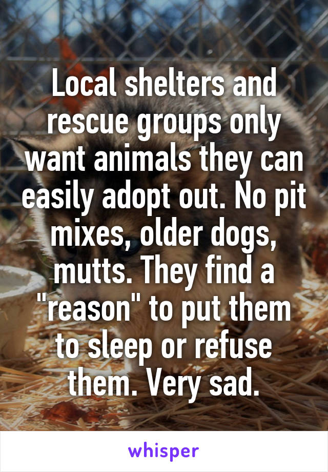 Local shelters and rescue groups only want animals they can easily adopt out. No pit mixes, older dogs, mutts. They find a "reason" to put them to sleep or refuse them. Very sad.