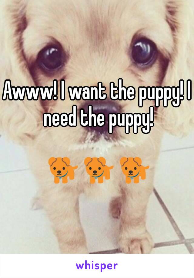 Awww! I want the puppy! I need the puppy!

 🐕 🐕 🐕