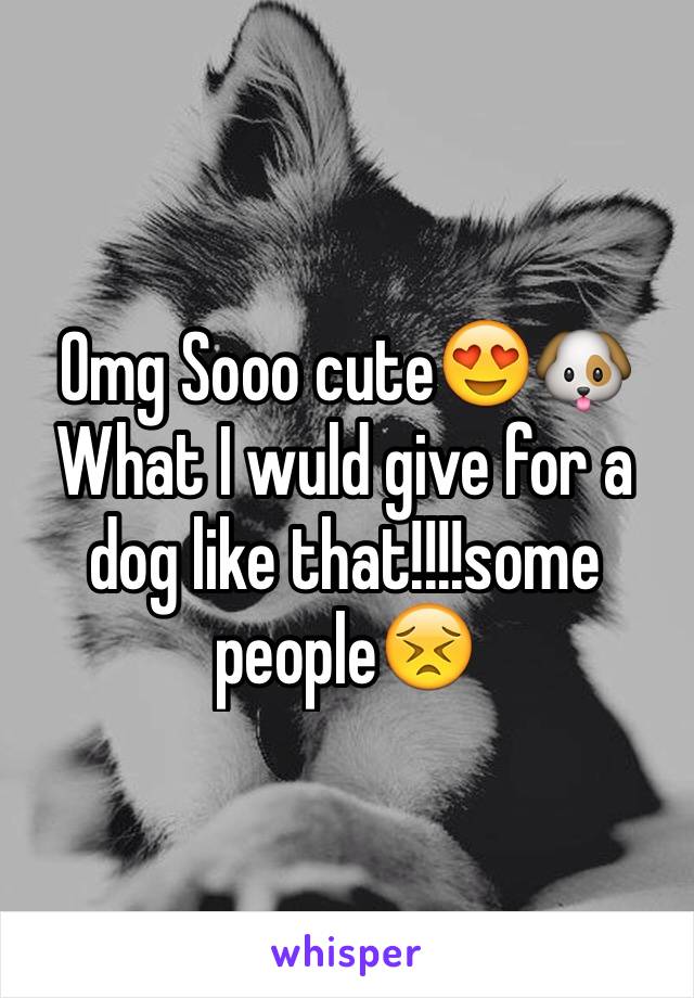 Omg Sooo cute😍🐶
What I wuld give for a dog like that!!!!some people😣