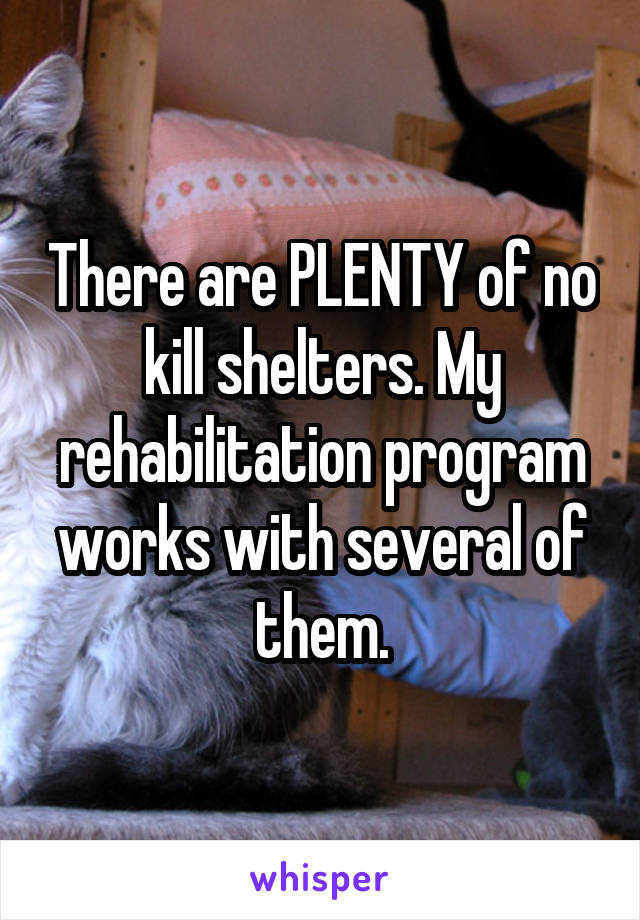 There are PLENTY of no kill shelters. My rehabilitation program works with several of them.