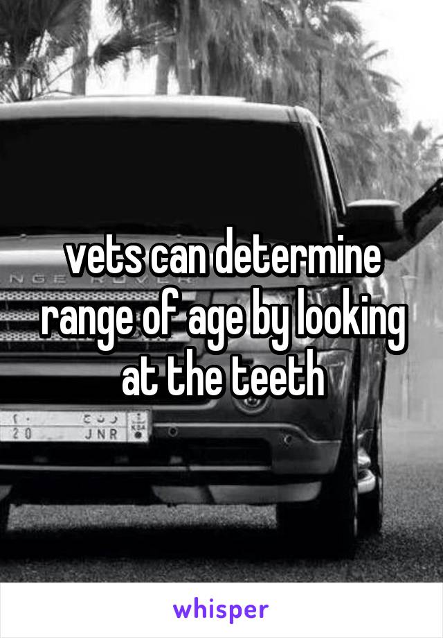 vets can determine range of age by looking at the teeth