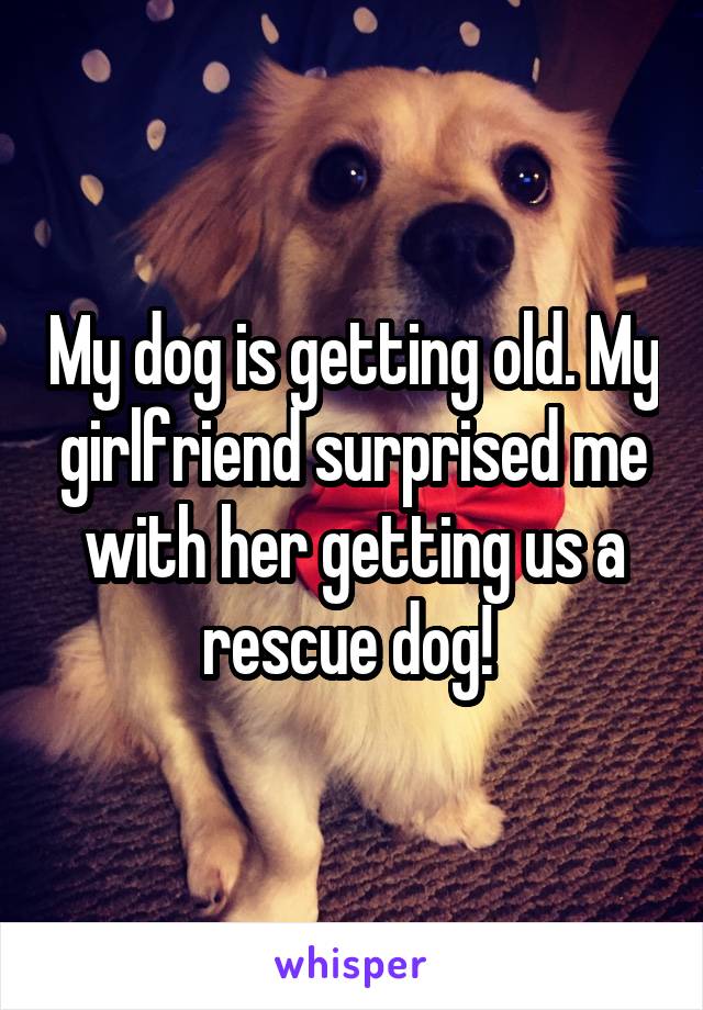My dog is getting old. My girlfriend surprised me with her getting us a rescue dog! 