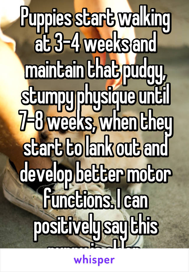 Puppies start walking at 3-4 weeks and maintain that pudgy, stumpy physique until 7-8 weeks, when they start to lank out and develop better motor functions. I can positively say this puppy is older.