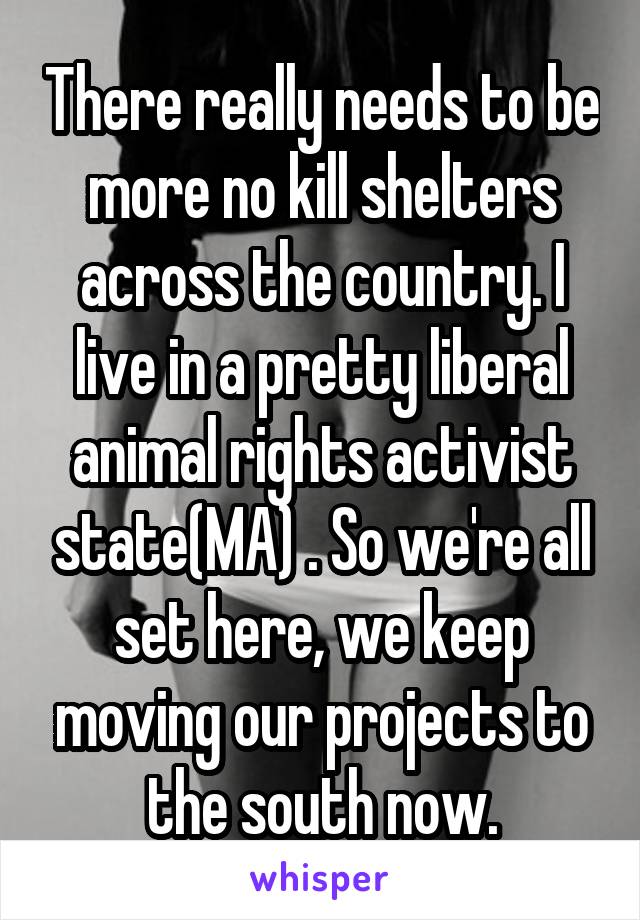 There really needs to be more no kill shelters across the country. I live in a pretty liberal animal rights activist state(MA) . So we're all set here, we keep moving our projects to the south now.