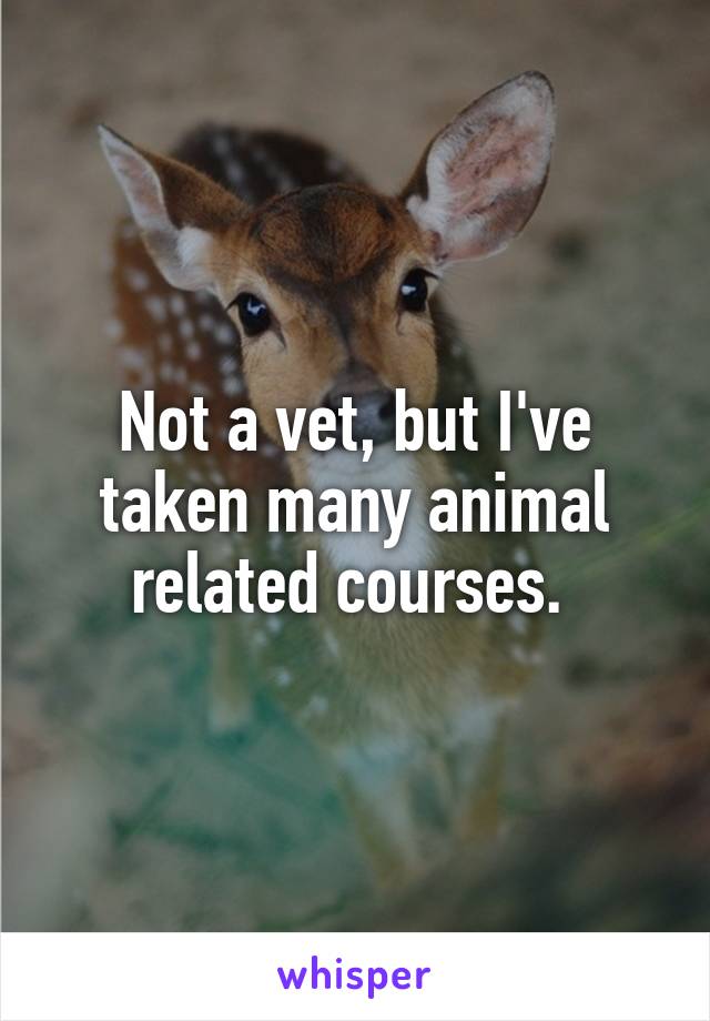 Not a vet, but I've taken many animal related courses. 