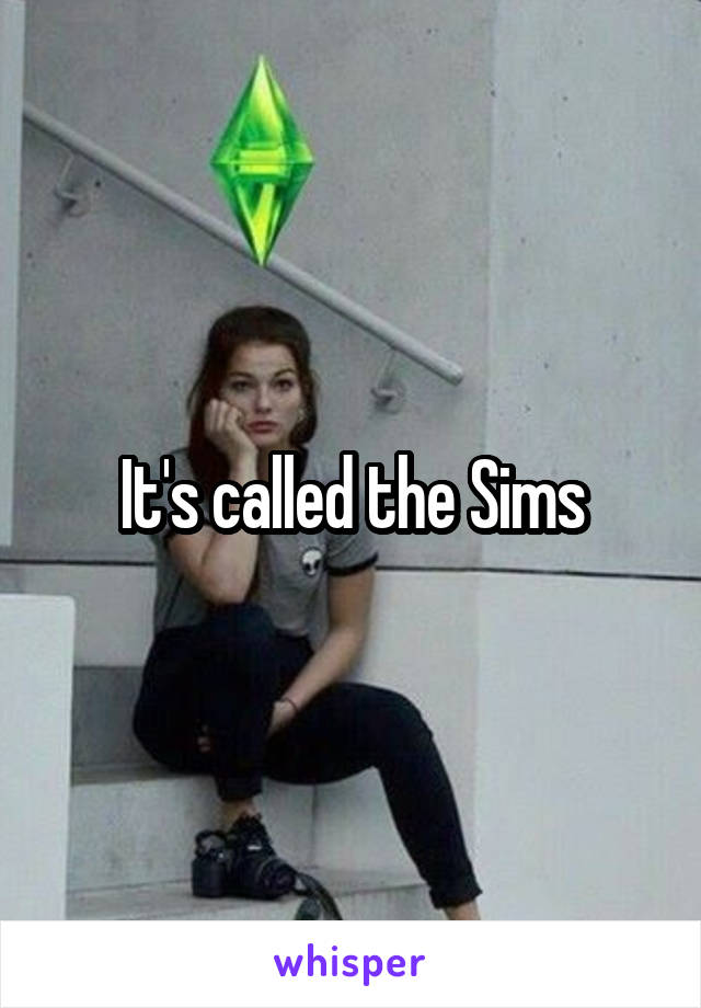 It's called the Sims