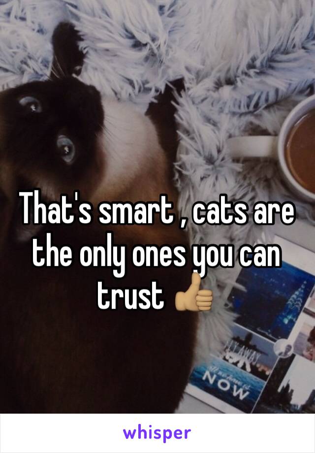 That's smart , cats are the only ones you can trust 👍🏽