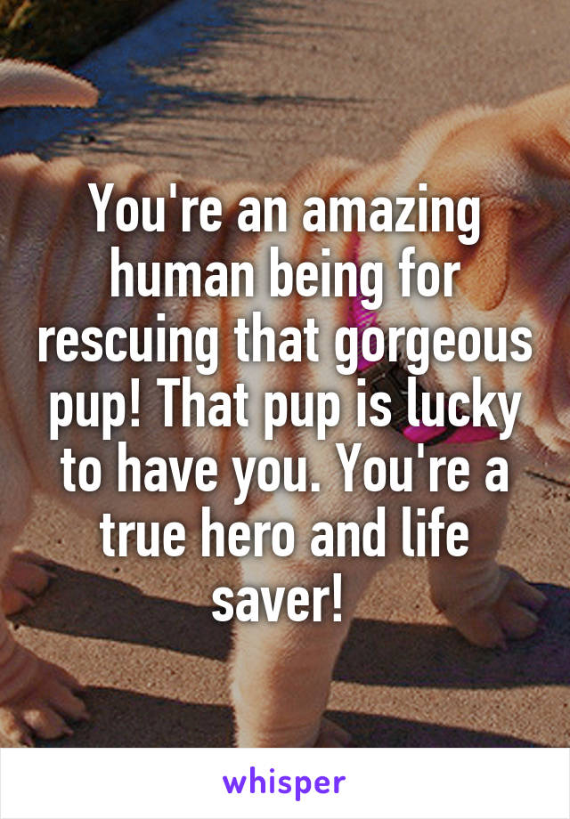 You're an amazing human being for rescuing that gorgeous pup! That pup is lucky to have you. You're a true hero and life saver! 