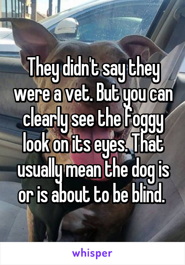 They didn't say they were a vet. But you can clearly see the foggy look on its eyes. That usually mean the dog is or is about to be blind. 