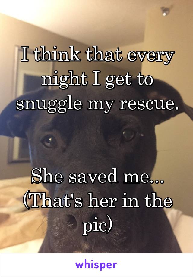 I think that every night I get to snuggle my rescue. 

She saved me...
(That's her in the pic)