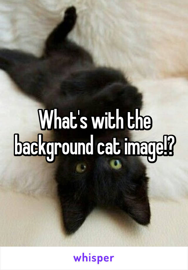 What's with the background cat image!?