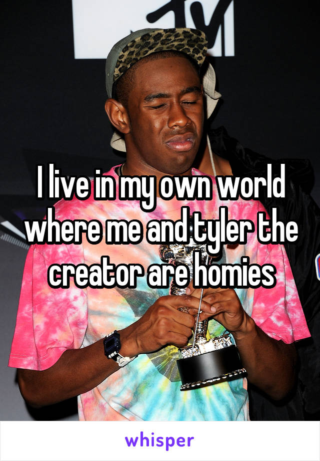 I live in my own world where me and tyler the creator are homies