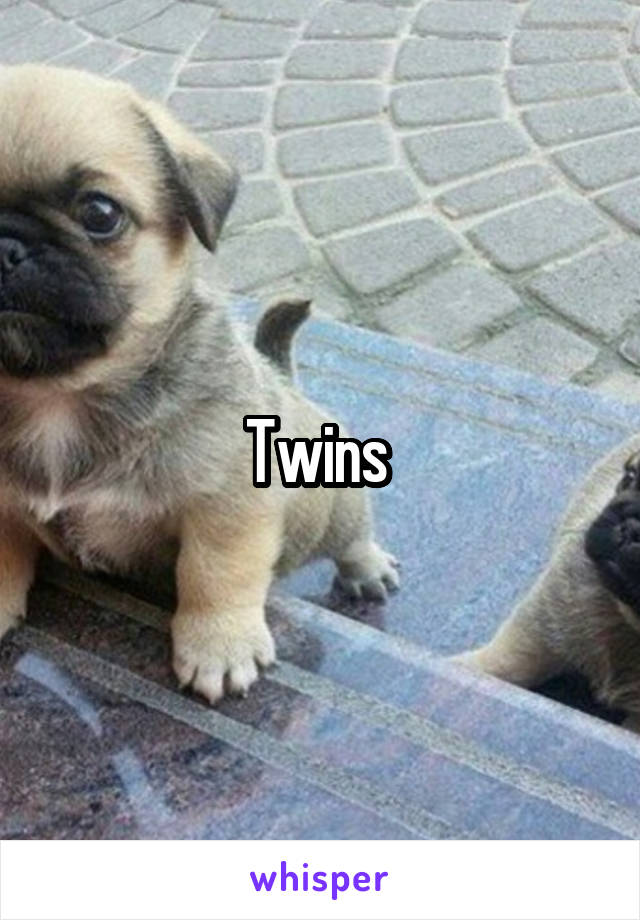 Twins 