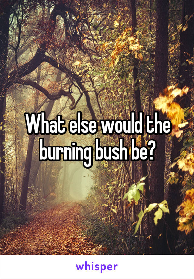 What else would the burning bush be?