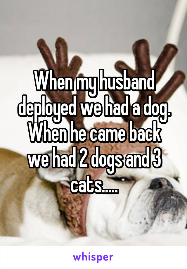 When my husband deployed we had a dog.
When he came back we had 2 dogs and 3 cats.....