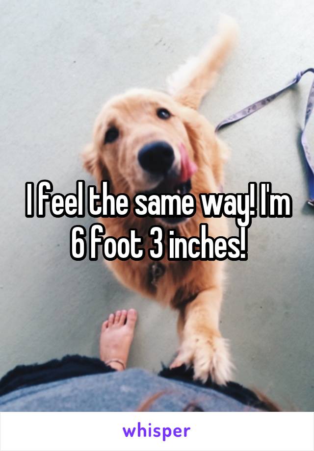 I feel the same way! I'm 6 foot 3 inches!