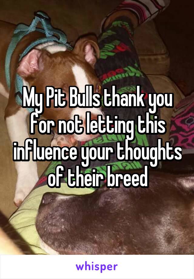 My Pit Bulls thank you for not letting this influence your thoughts of their breed