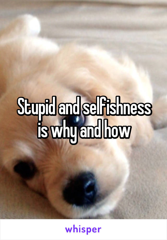 Stupid and selfishness is why and how