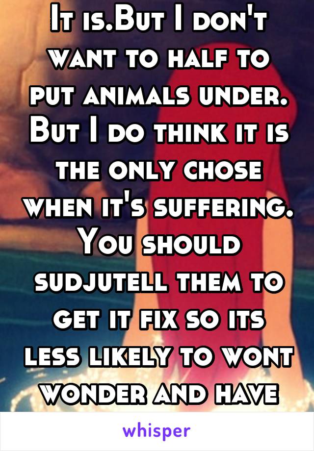 It is.But I don't want to half to put animals under. But I do think it is the only chose when it's suffering. You should sudjutell them to get it fix so its less likely to wont wonder and have pups