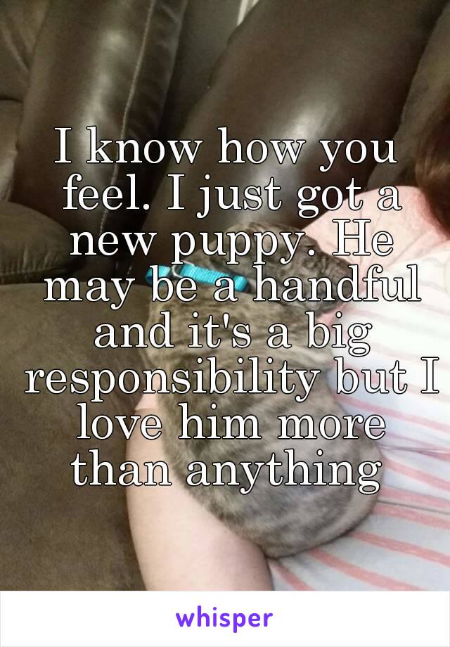 I know how you feel. I just got a new puppy. He may be a handful and it's a big responsibility but I love him more than anything 