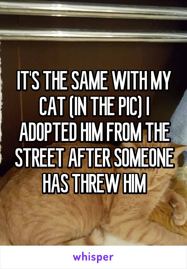 IT'S THE SAME WITH MY CAT (IN THE PIC) I ADOPTED HIM FROM THE STREET AFTER SOMEONE HAS THREW HIM