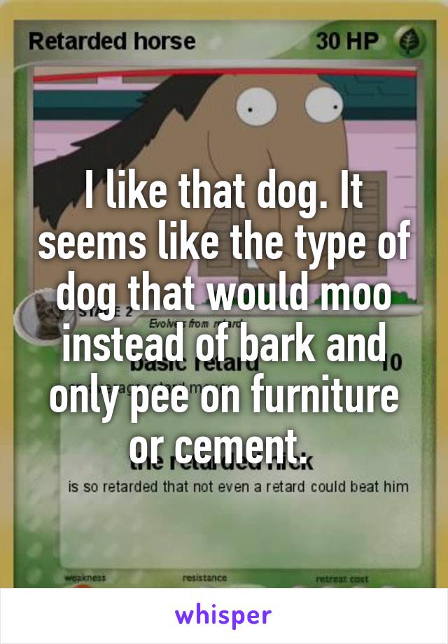 I like that dog. It seems like the type of dog that would moo instead of bark and only pee on furniture or cement. 