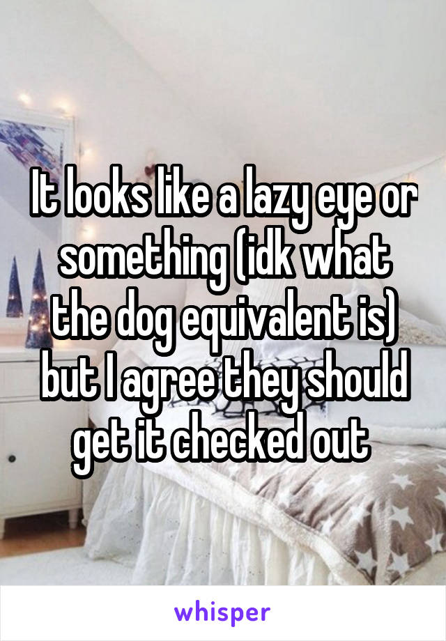 It looks like a lazy eye or something (idk what the dog equivalent is) but I agree they should get it checked out 