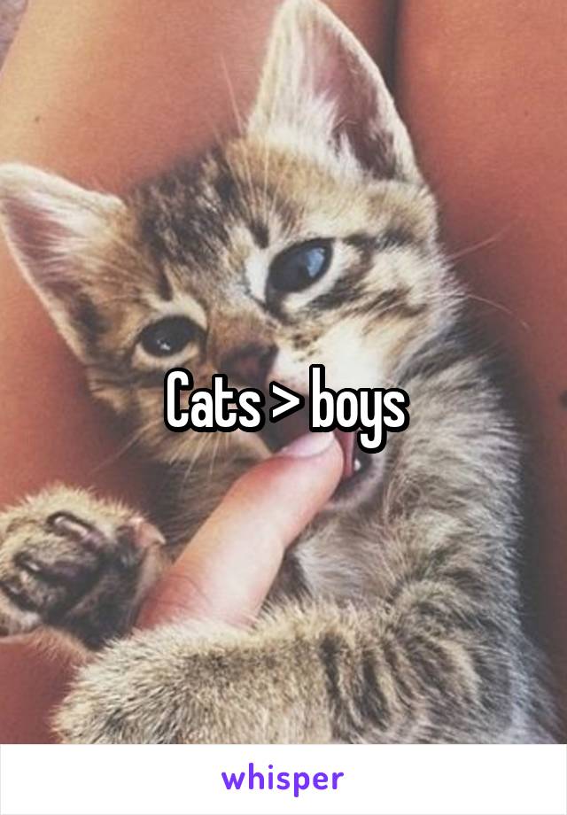 Cats > boys