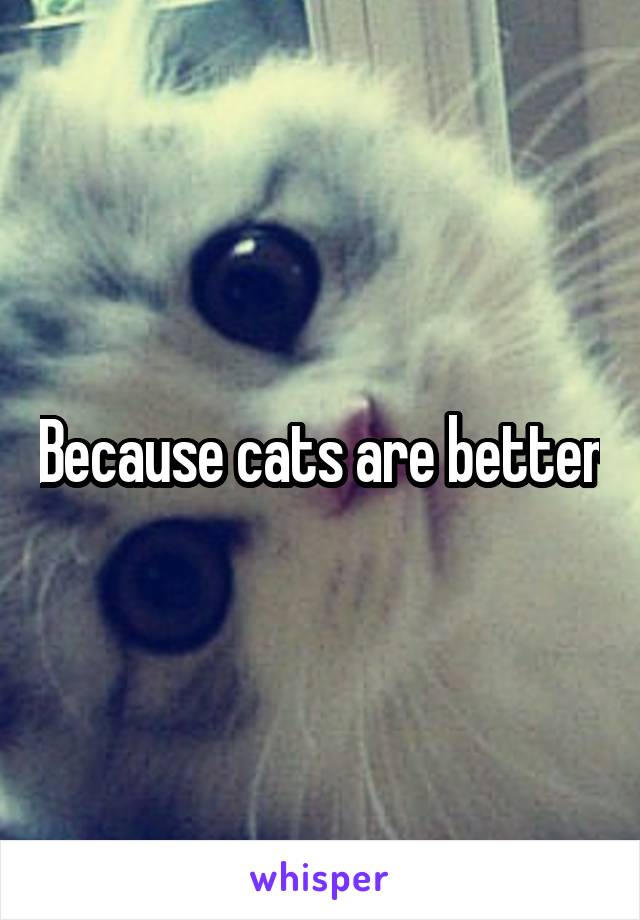 Because cats are better