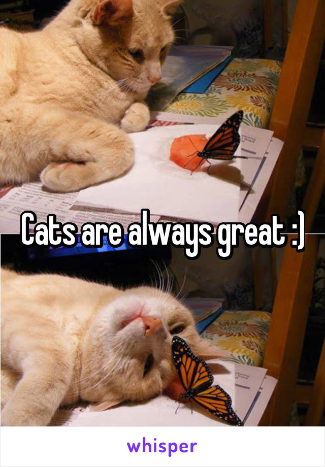 Cats are always great :)