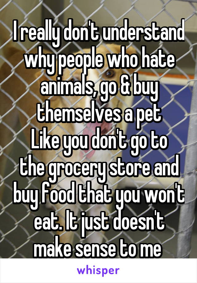 I really don't understand why people who hate animals, go & buy themselves a pet
Like you don't go to the grocery store and buy food that you won't eat. It just doesn't make sense to me 