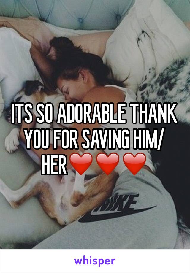 ITS SO ADORABLE THANK YOU FOR SAVING HIM/HER❤️❤️❤️