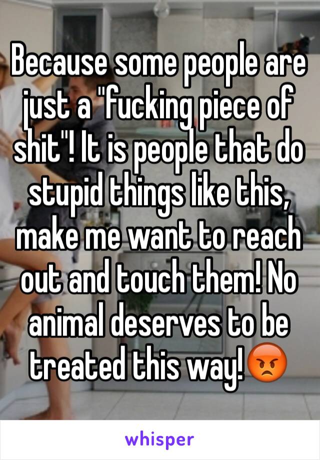 Because some people are just a "fucking piece of shit"! It is people that do stupid things like this, make me want to reach out and touch them! No animal deserves to be treated this way!😡