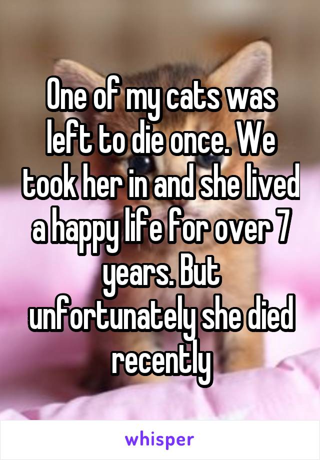 One of my cats was left to die once. We took her in and she lived a happy life for over 7 years. But unfortunately she died recently