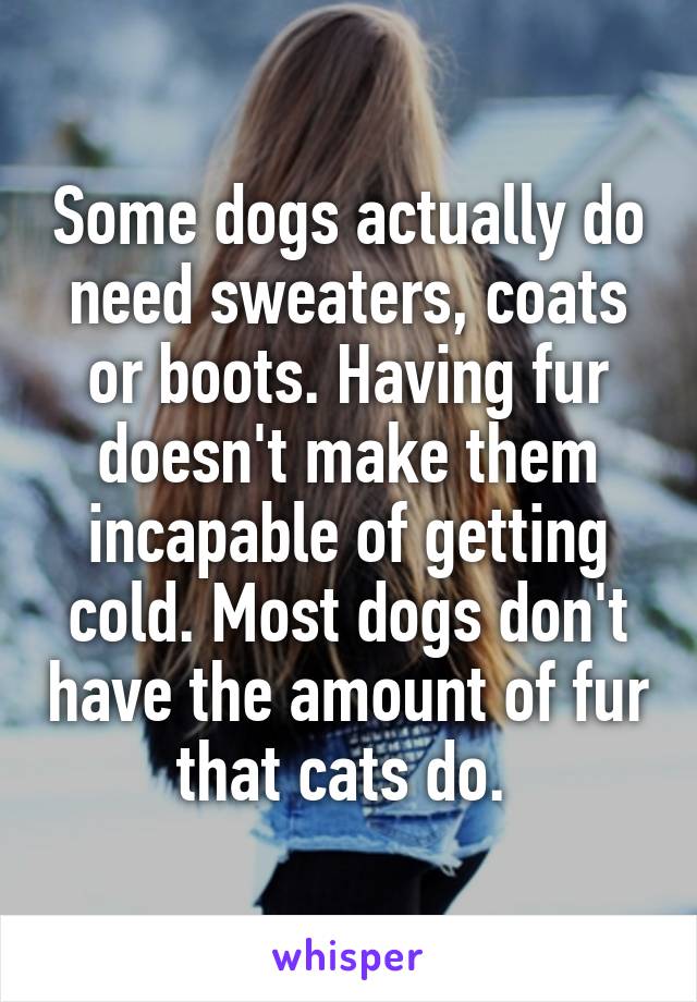 Some dogs actually do need sweaters, coats or boots. Having fur doesn't make them incapable of getting cold. Most dogs don't have the amount of fur that cats do. 