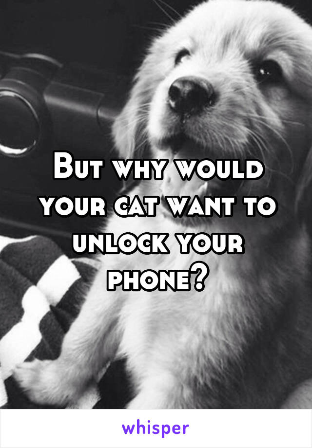 But why would your cat want to unlock your phone?