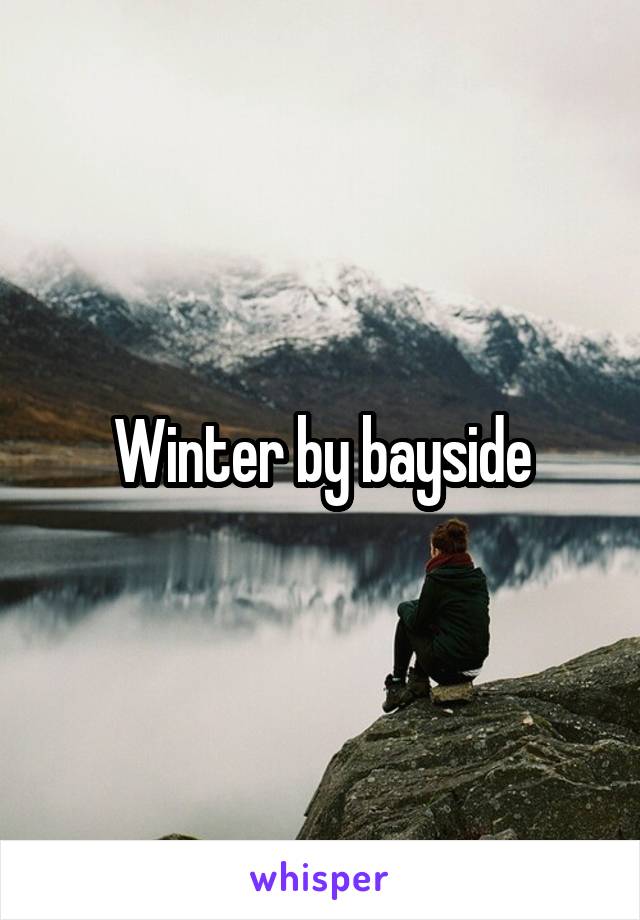 Winter by bayside