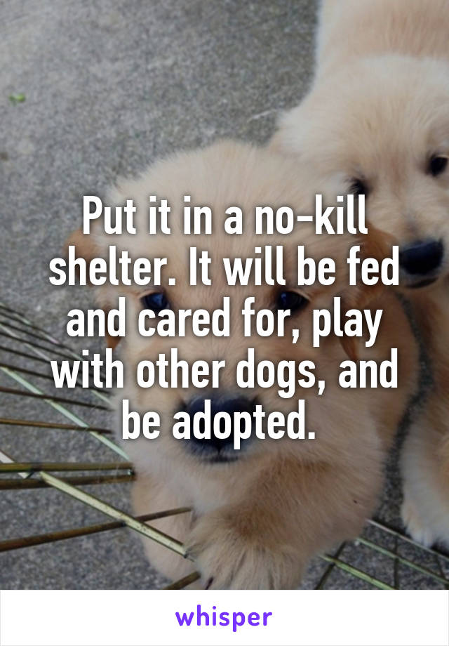 Put it in a no-kill shelter. It will be fed and cared for, play with other dogs, and be adopted. 