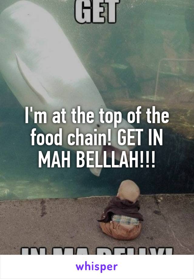 I'm at the top of the food chain! GET IN MAH BELLLAH!!!