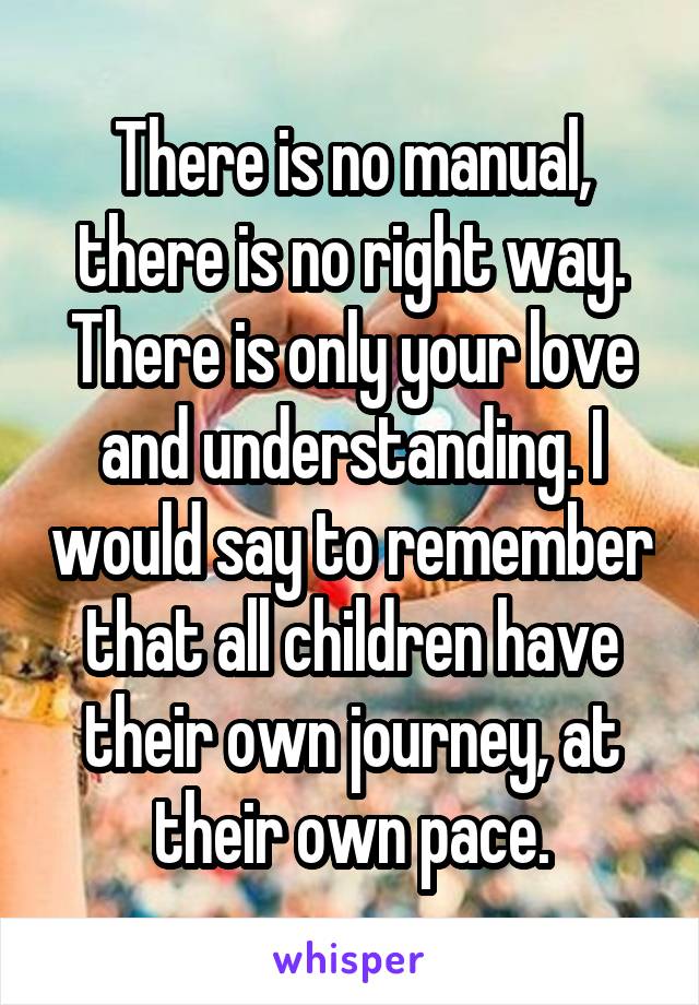 There is no manual, there is no right way. There is only your love and understanding. I would say to remember that all children have their own journey, at their own pace.