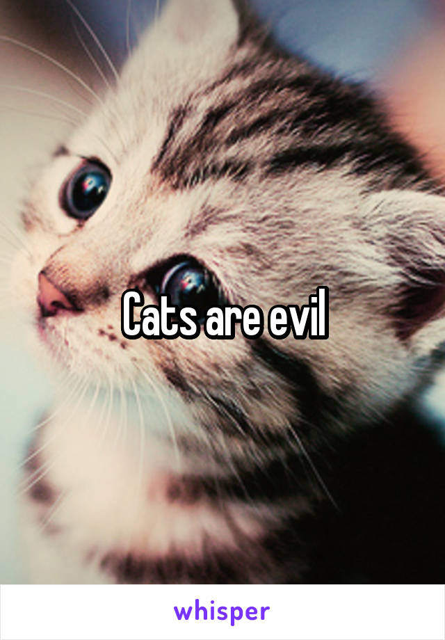 Cats are evil