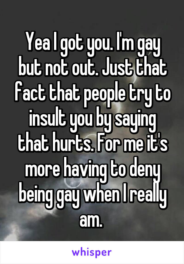 Yea I got you. I'm gay but not out. Just that fact that people try to insult you by saying that hurts. For me it's more having to deny being gay when I really am. 