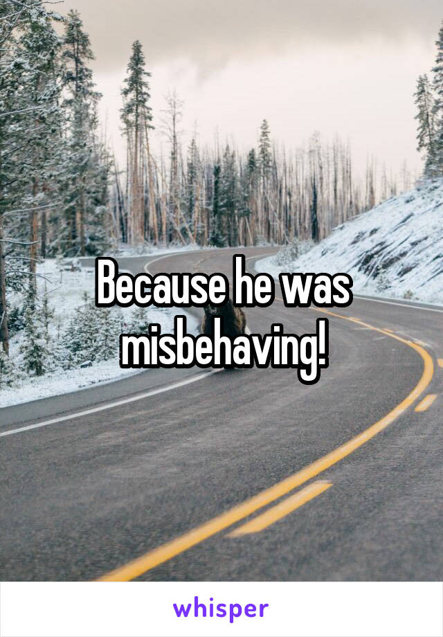 Because he was misbehaving!