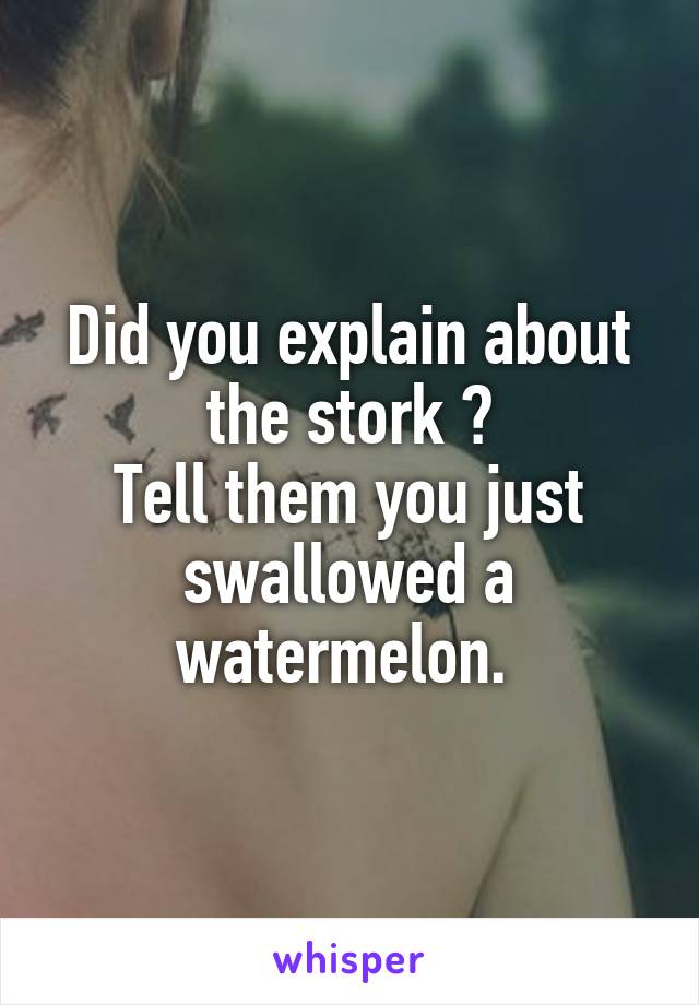 Did you explain about the stork ?
Tell them you just swallowed a watermelon. 