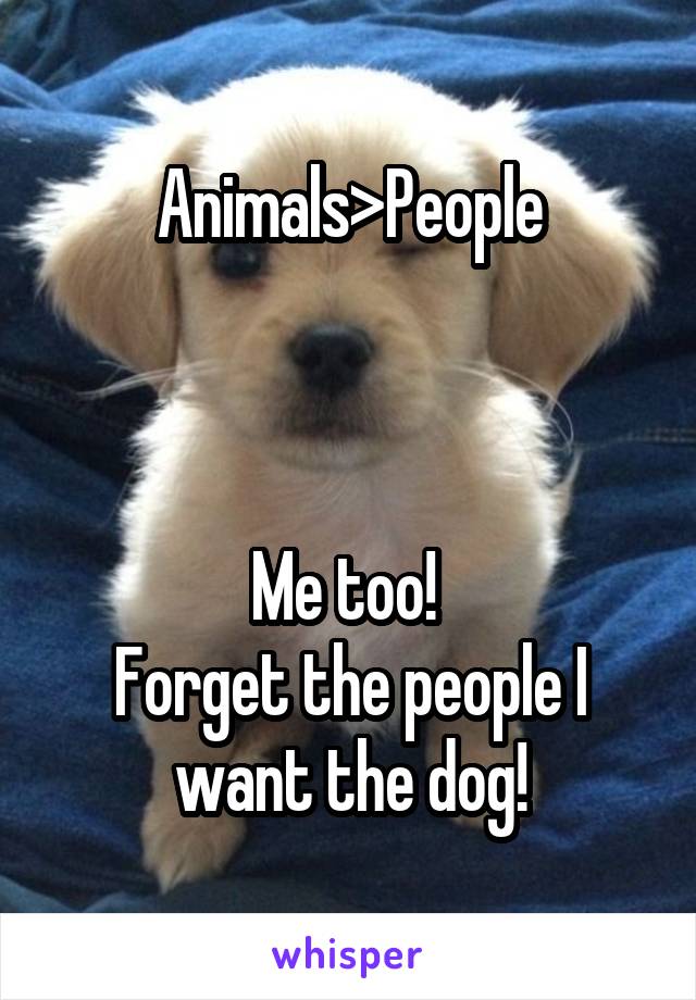 Animals>People



Me too! 
Forget the people I want the dog!