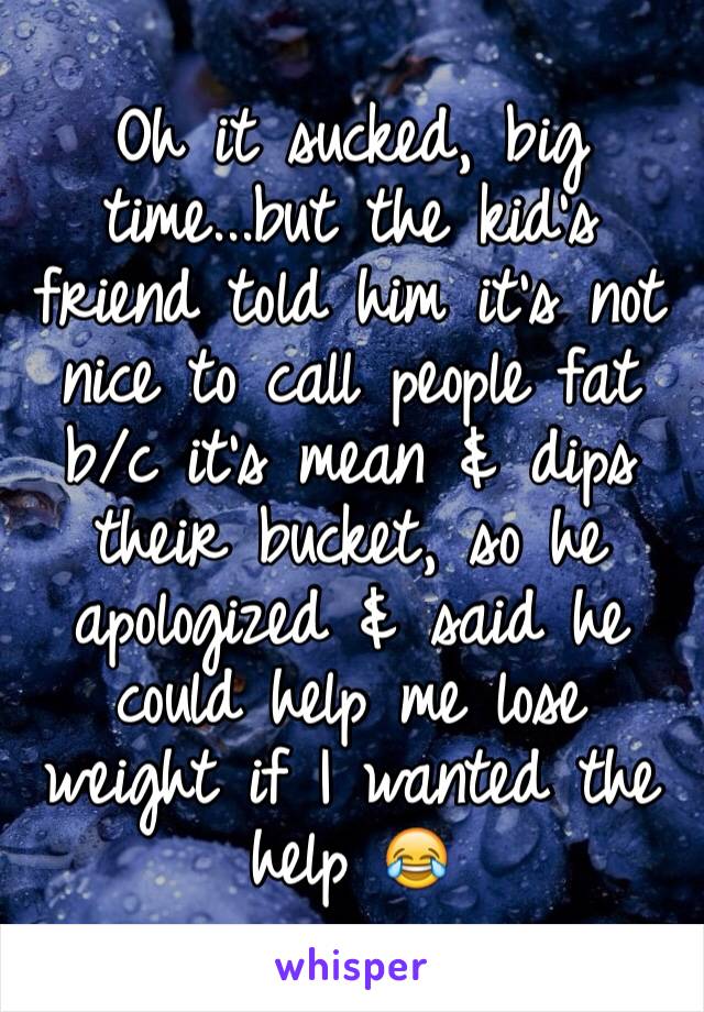 Oh it sucked, big time...but the kid's friend told him it's not nice to call people fat b/c it's mean & dips their bucket, so he apologized & said he could help me lose weight if I wanted the help 😂