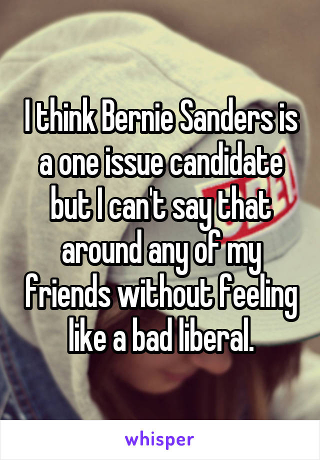I think Bernie Sanders is a one issue candidate but I can't say that around any of my friends without feeling like a bad liberal.