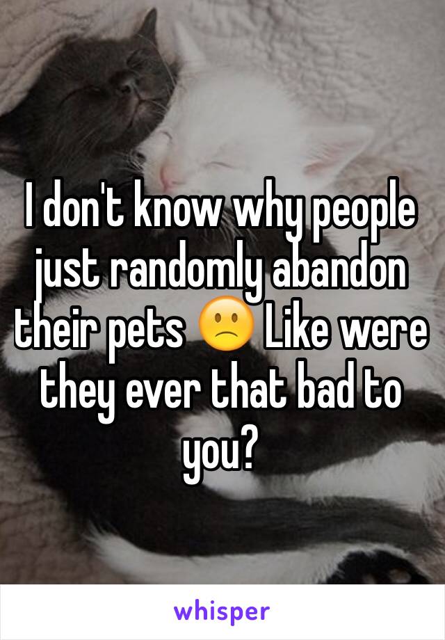 I don't know why people just randomly abandon their pets 🙁 Like were they ever that bad to you?