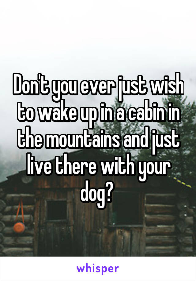 Don't you ever just wish to wake up in a cabin in the mountains and just live there with your dog? 